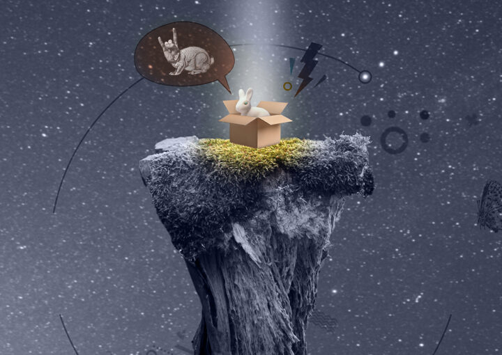 Klaveren Haas grafische vormgeving, grafisch ontwerp, reclamebureau, storytelling, contentmarketing, marketing, visual storytelling, reclame, logo, Harelbeke, Kortrijk, creatief, grafisch buro, fotografie, copywriting, campagne, belettering, concept, logo, out of the box, into the wild